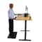 Uncaged Ergonomics RiseUpElectricStandingDesk48X30"BambooDesktopSitStandOffice, RUbb48 RUBB48 - alternate 3